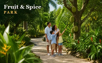 A family exploring jackfruit trees along a tropical garden path at Fruit & Spice Park in Homestead.